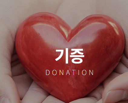 조혈모세포 기증