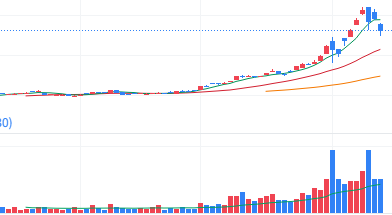 금 투자 주식 사는법