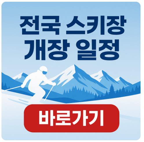 전국 스키장 개장