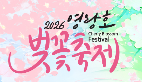 영랑호벚꽃축제