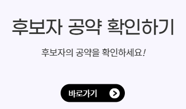 지방선거